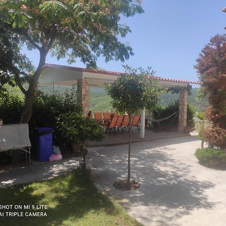 Guesthouse Zografia 弗拉斯纳 外观 照片