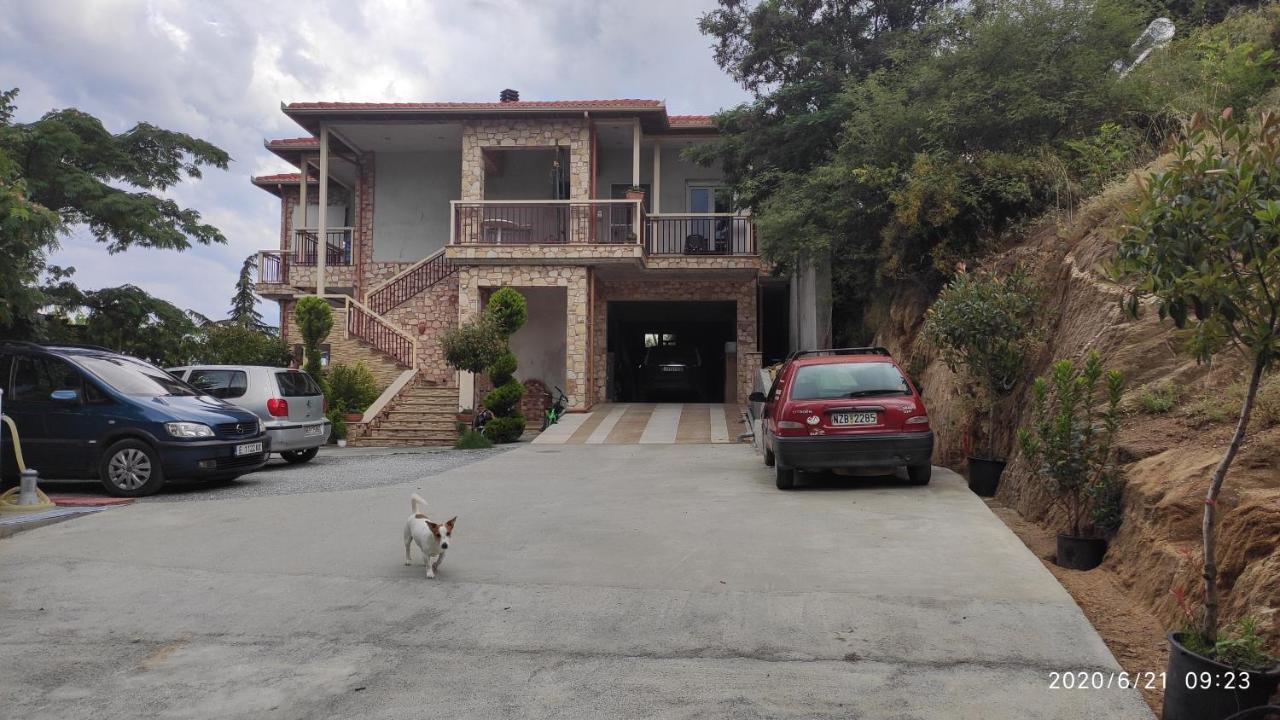 Guesthouse Zografia 弗拉斯纳 外观 照片