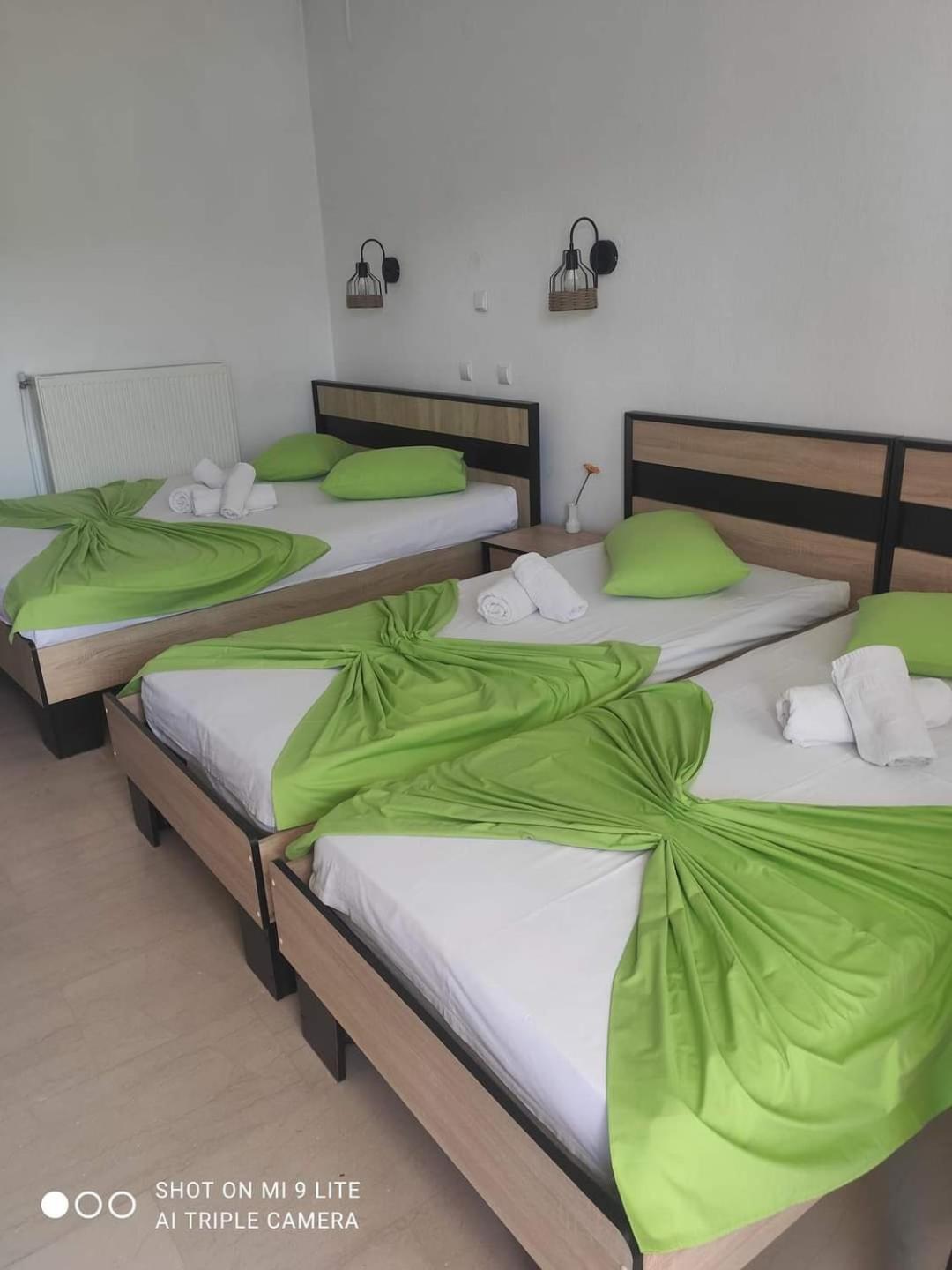Guesthouse Zografia 弗拉斯纳 外观 照片