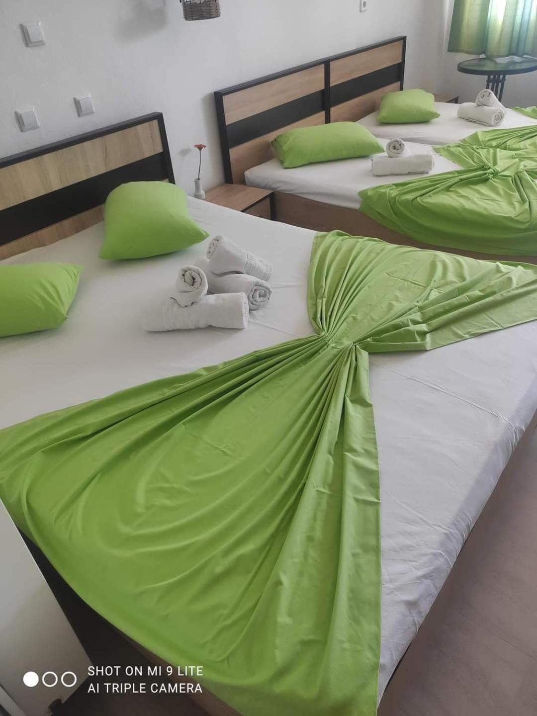 Guesthouse Zografia 弗拉斯纳 外观 照片