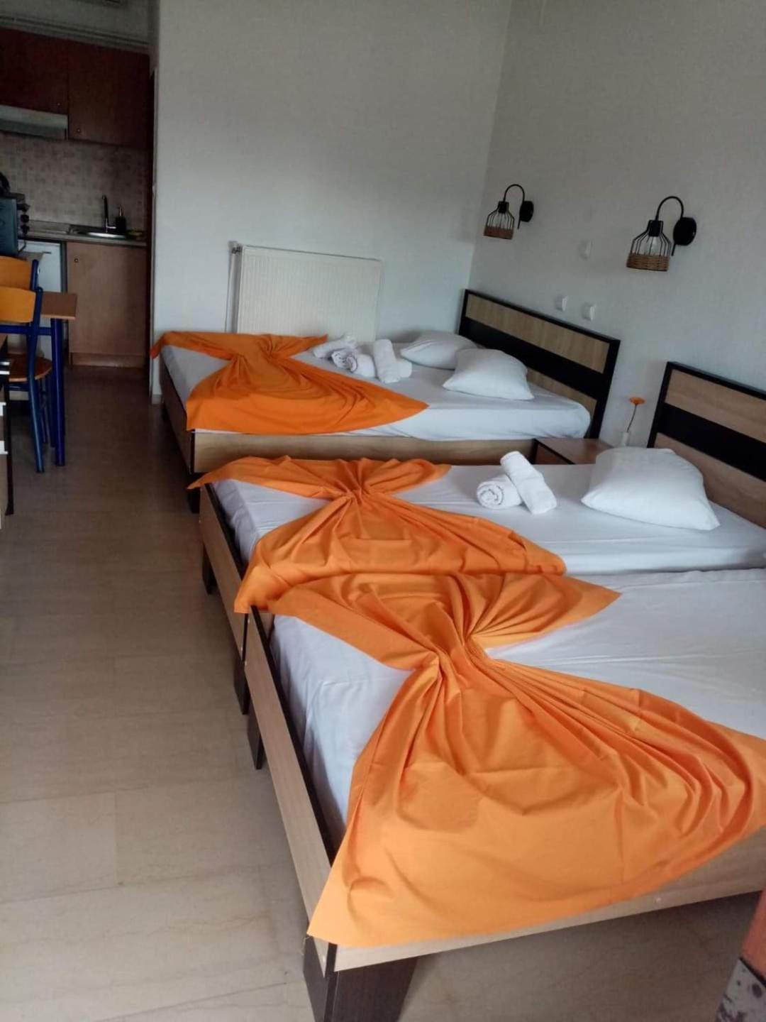 Guesthouse Zografia 弗拉斯纳 外观 照片