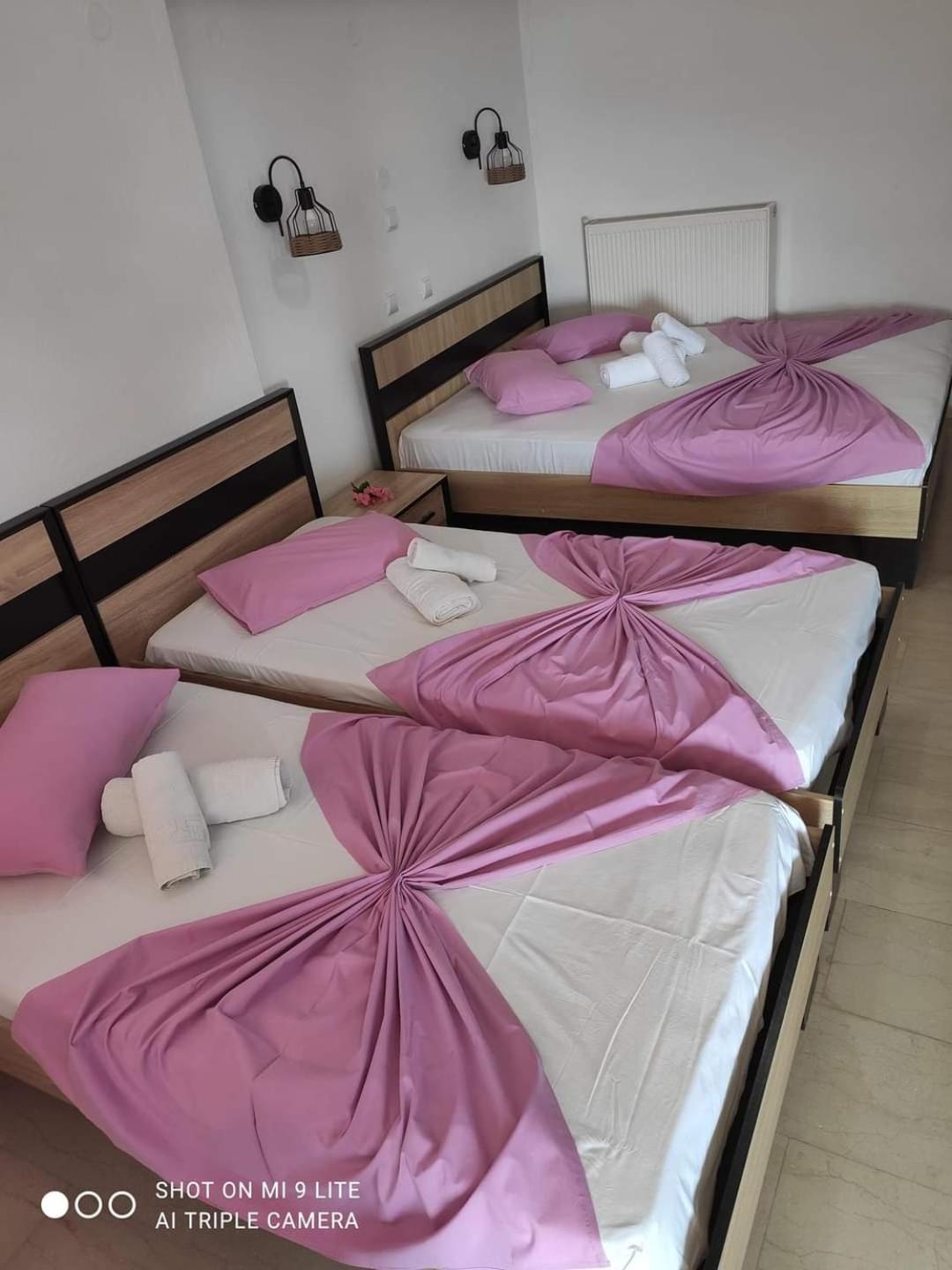 Guesthouse Zografia 弗拉斯纳 外观 照片