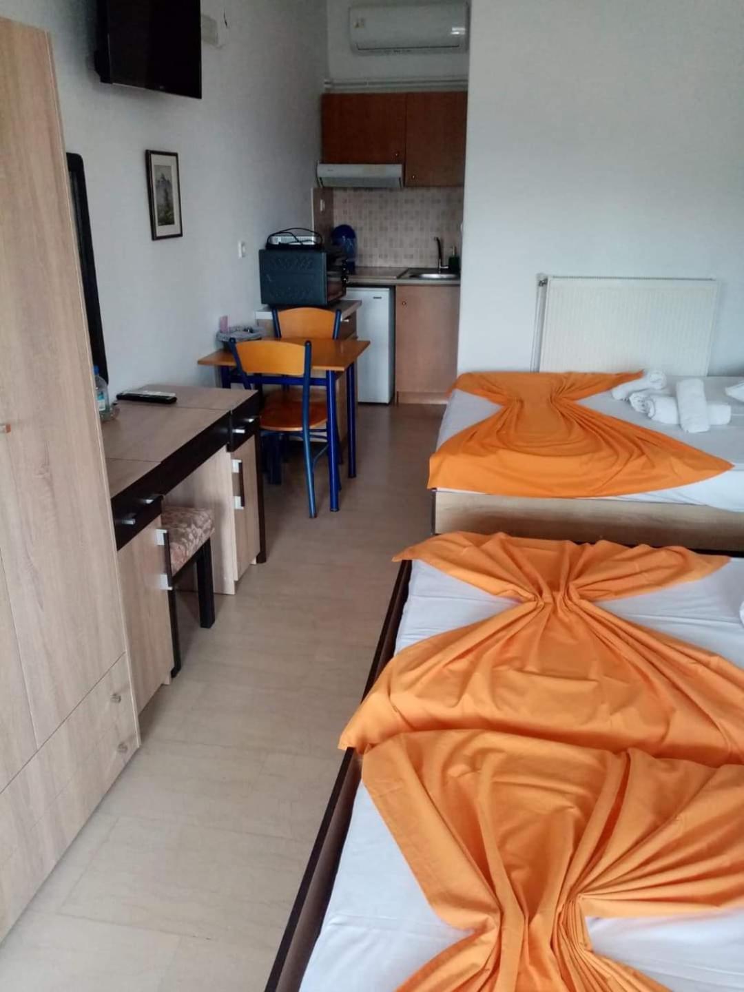 Guesthouse Zografia 弗拉斯纳 外观 照片