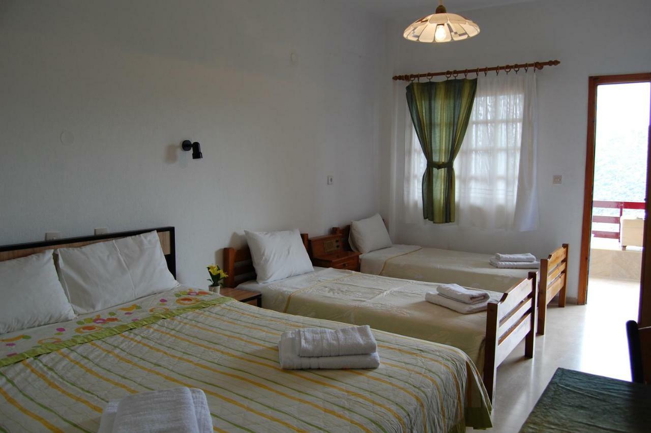 Guesthouse Zografia 弗拉斯纳 外观 照片