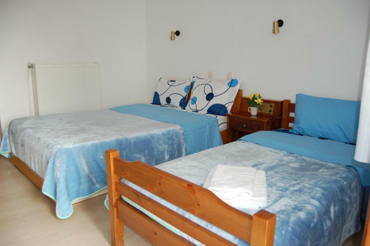 Guesthouse Zografia 弗拉斯纳 外观 照片