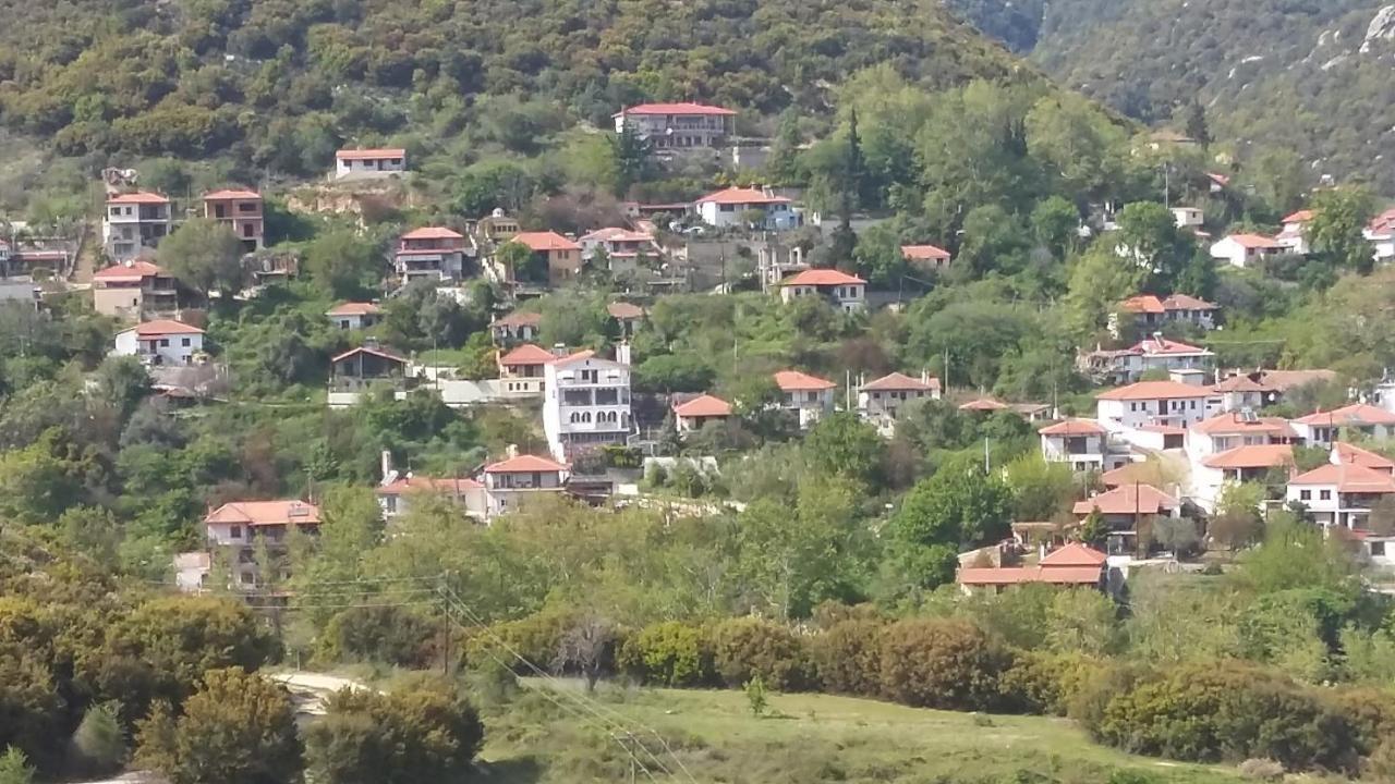 Guesthouse Zografia 弗拉斯纳 外观 照片